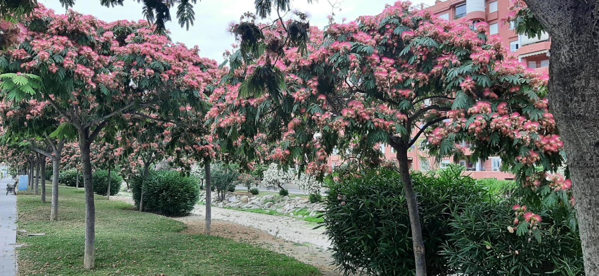 Apartment Las Salinas Boliches فوينخيرولا المظهر الخارجي الصورة